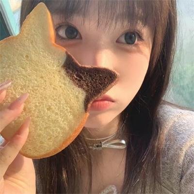 少年天子