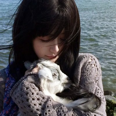 疯狂竞赛片